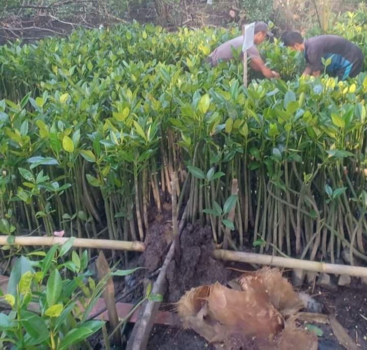 DESA TINJUL TERMASUK DALAM VERIFIKASI KAMPUNG BERKUALITAS