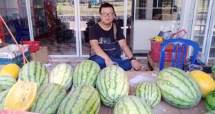 Dengan Terhentinya Jasa Pelayaran Kapal Roro Rute Batam Dabo Dan Kuala Tungkal, Pedagang Dabo Singkep Mengeluh